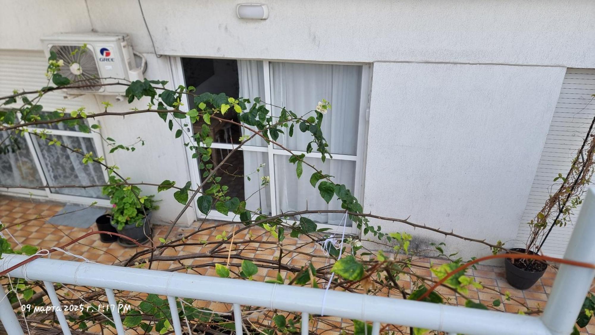 Beach Apartment'S リマソール エクステリア 写真